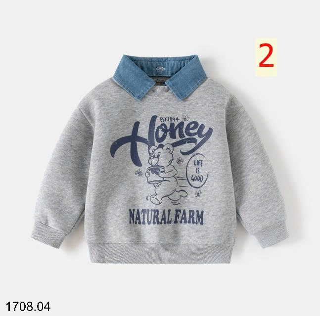 25HA1708.04 - BST ÁO NỈ WELLKIDS BÉ TRAI