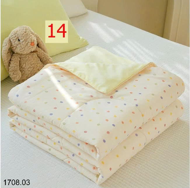 25HA1708.03 - CHIẾC CHĂN HÈ SIÊU ƯNG