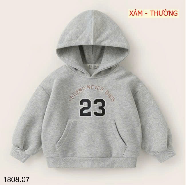 25HA1808.07 - ÁO NỈ HOODIE CÓ MŨ SIZE ĐẠI CHO BÉ