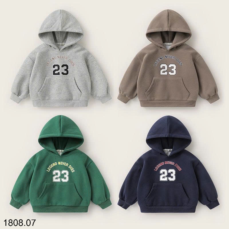 25HA1808.07 - ÁO NỈ HOODIE CÓ MŨ SIZE ĐẠI CHO BÉ