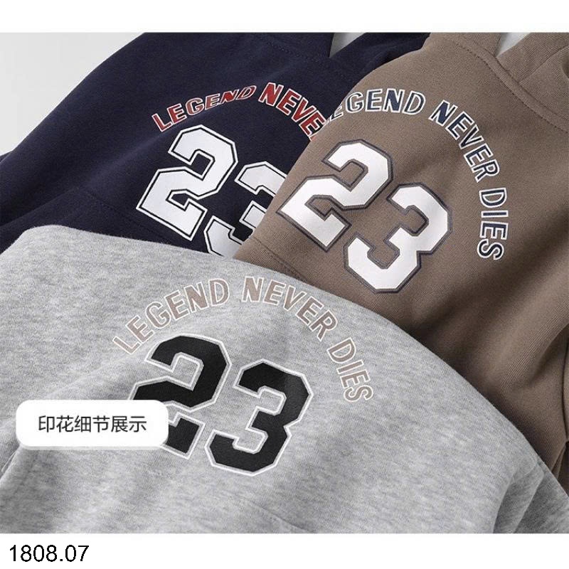 25HA1808.07 - ÁO NỈ HOODIE CÓ MŨ SIZE ĐẠI CHO BÉ