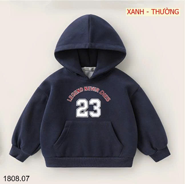 25HA1808.07 - ÁO NỈ HOODIE CÓ MŨ SIZE ĐẠI CHO BÉ