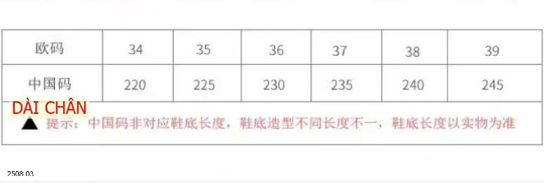 25HA2508.03 - GIÀY CAO GÓT MŨI NHỌN ĐINH TÁN