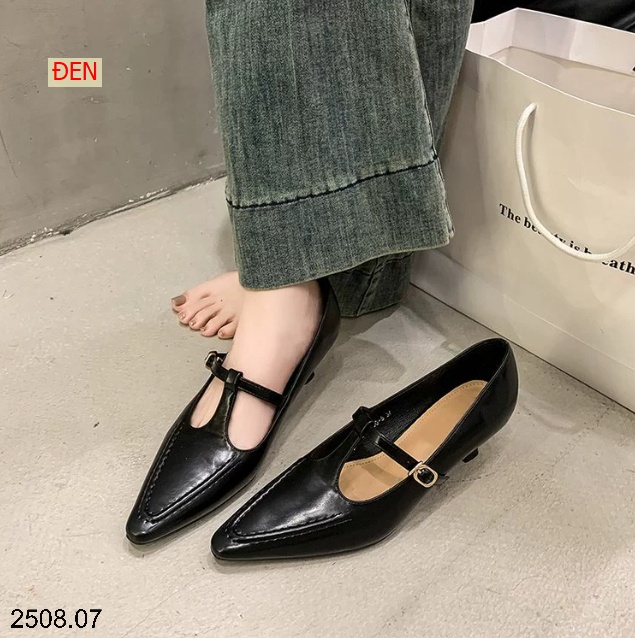 25HA2508.07 - GIÀY CAO GÓT MŨI NHỌN ĐẾ THẤP