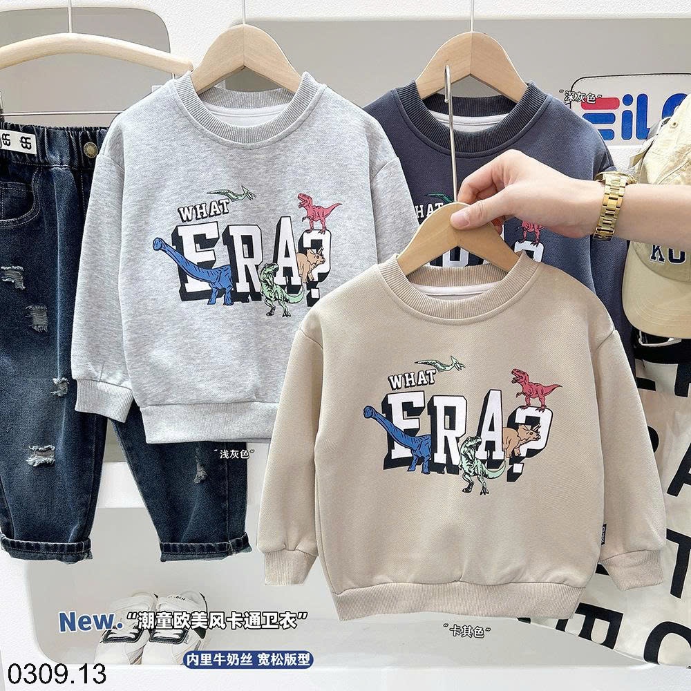 25HA0309.13 - ÁO NỈ BÉ TRAI KACADY
