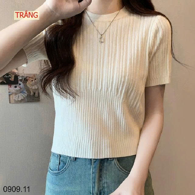 25HA0909.11 - ÁO LEN NGẮN TAY CỔ TRÒN