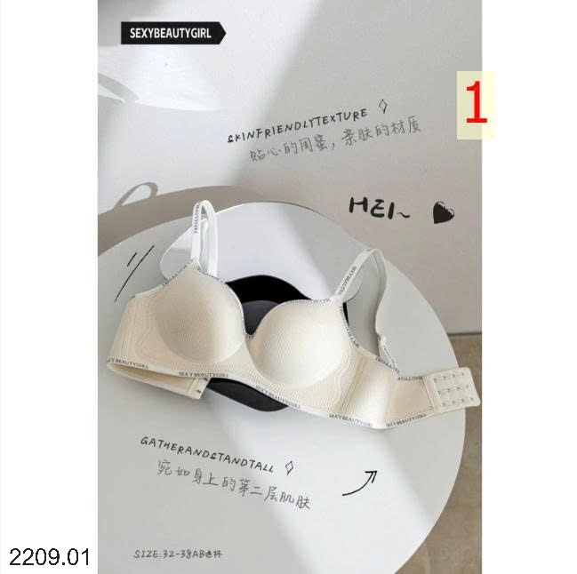 25HA2209.01 - SET 2 ÁO LÓT SEXY CHO NỮ