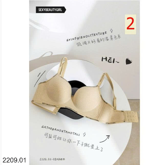 25HA2209.01 - SET 2 ÁO LÓT SEXY CHO NỮ