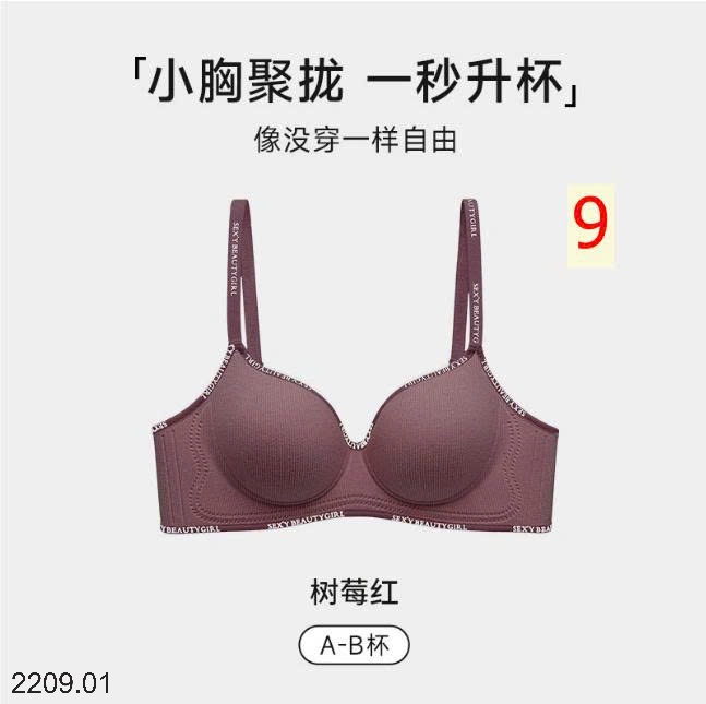 25HA2209.01 - SET 2 ÁO LÓT SEXY CHO NỮ