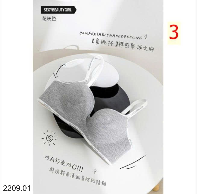 25HA2209.01 - SET 2 ÁO LÓT SEXY CHO NỮ