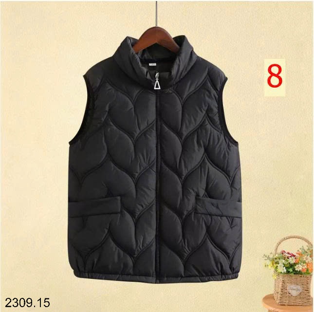 25HA2309.15 - GILE PHAO BASIC
