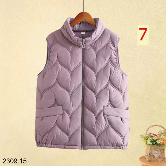 25HA2309.15 - GILE PHAO BASIC