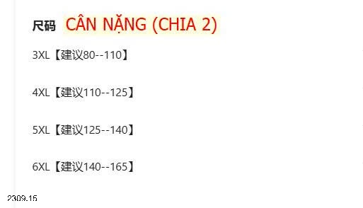 25HA2309.15 - GILE PHAO BASIC