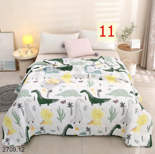 25HA2709.12 - CHĂN MỎNG ĐIỀU HÒA