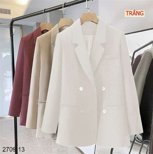 25HA2709.13 - ÁO VEST NỮ