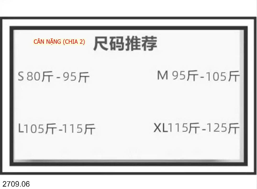 25HA2709.06 - ÁO THUN NỮ KẺ VÀNG