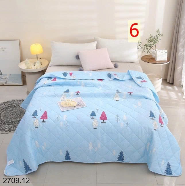 25HA2709.12 - CHĂN MỎNG ĐIỀU HÒA