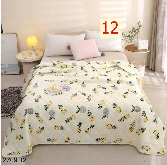 25HA2709.12 - CHĂN MỎNG ĐIỀU HÒA