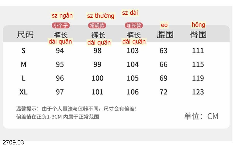 25HA2709.03 - QUẦN ỐNG RỘNG YAMAMOTO NỮ