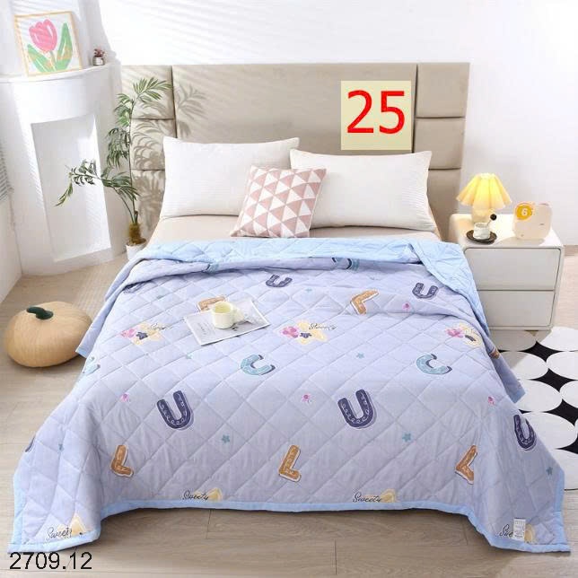 25HA2709.12 - CHĂN MỎNG ĐIỀU HÒA