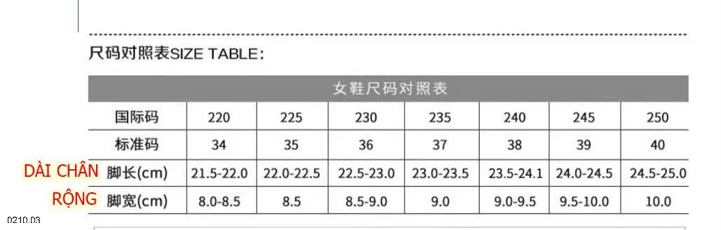25HA0210.03 - GIÀY CAO GÓT MŨI NHỌN HỞ GÓT NỮ