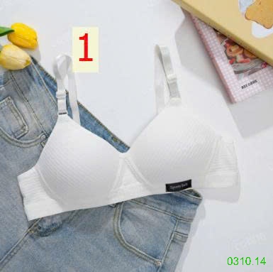 25HA0310.14 - SET 3 ÁO LÓT ĐỘN MỎNG NỮ