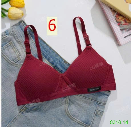 25HA0310.14 - SET 3 ÁO LÓT ĐỘN MỎNG NỮ