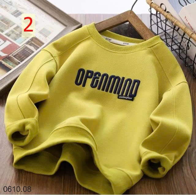 25HA0610.08 - ÁO NỈ BÉ TRAI SIZE ĐẠI