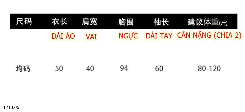 25HA1210.05 - ÁO LEN CỔ V NHÚN BÈO ANNA