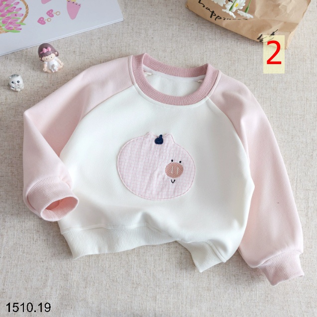 25HA1510.19 - ÁO NỈ BÉ GÁI SIÊU XINH