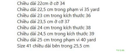 25HA2310.03 - GIÀY DA BÓNG CÔNG SỞ NỮ