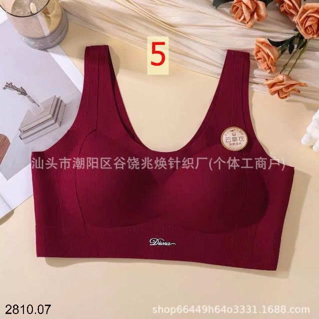 25HA2810.07 - BRA NÂNG NGỰC CHO NỮ