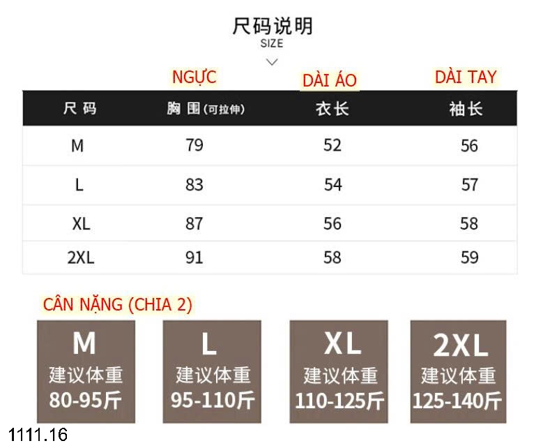 25HA1111.16 - ÁO THUN KẺ CỔ TRÒN