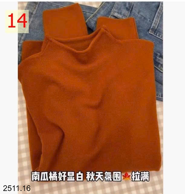 25HA2511.16 - ÁO LEN CỔ LỌ CHO NỮ