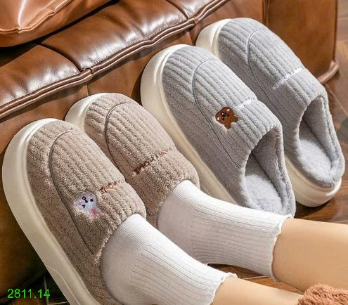 25HA2811.14 - SỤC LÔNG ĐI TRONG NHÀ MÙA ĐÔNG