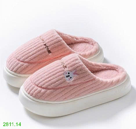 25HA2811.14 - SỤC LÔNG ĐI TRONG NHÀ MÙA ĐÔNG
