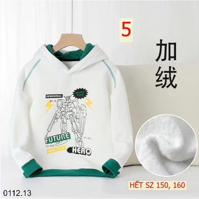25HA0112.13 - ÁO NỈ HODDIE LÓT LÔNG BÉ TRAI HÃNG AKL