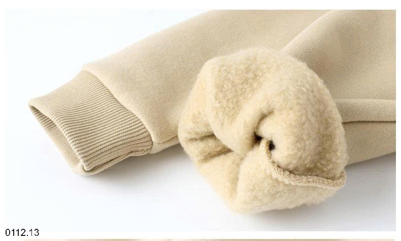 25HA0112.13 - ÁO NỈ HODDIE LÓT LÔNG BÉ TRAI HÃNG AKL