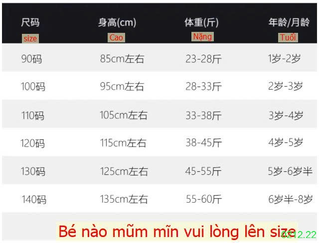 25HA0212.22 - ÁO NỈ LEMON LÓT LÔNG NINGLI BÉ GÁI
