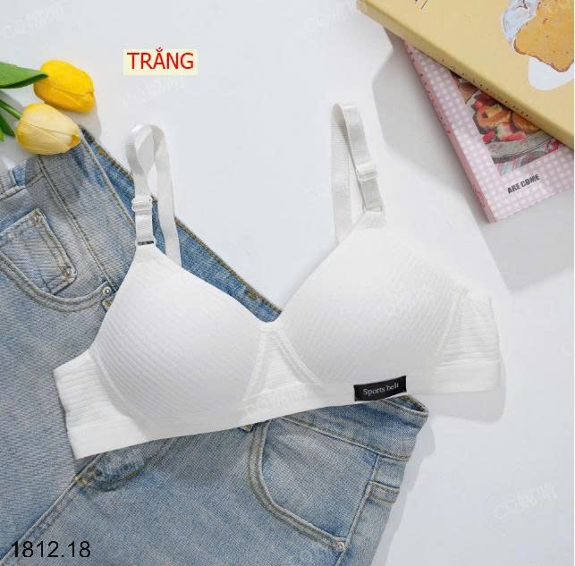 25HA1812.18 - SET 3 ÁO LÓT ĐỘN MỎNG NỮ