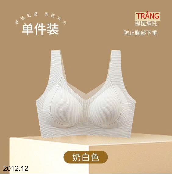 25HA2012.12 - BRA BẢN TO