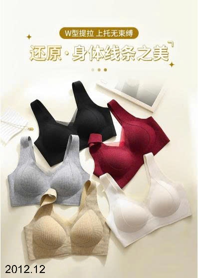 25HA2012.12 - BRA BẢN TO