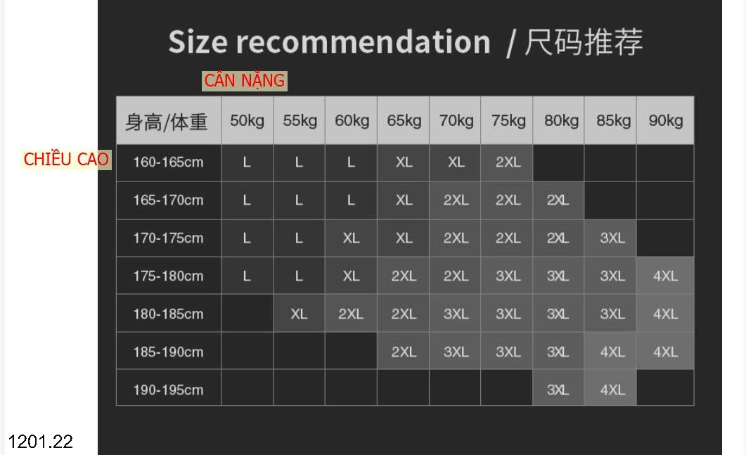 26HA1201.22 - ÁO LEN CỔ SƠ MI LÓT LÔNG TRUNG NIÊN