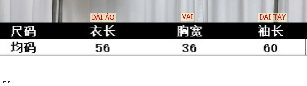 26HA2101.03 - ÁO LEN NỮ CỔ V CÚC VIỀN