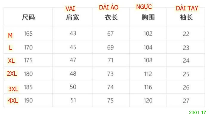 26HA2301.17 - ÁO POLO KẺ TRUNG NIÊN