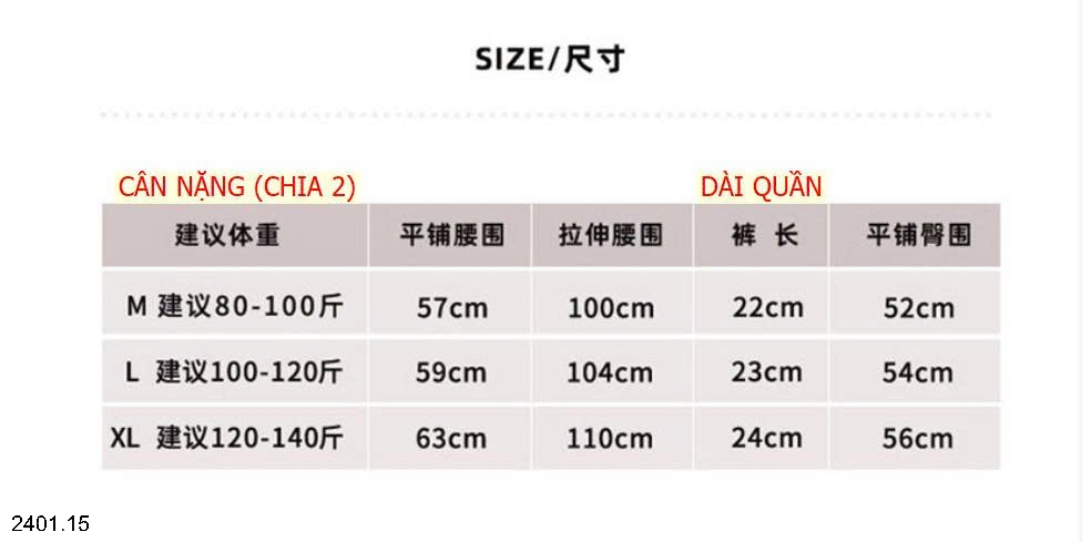 26HA2401.15 - SET 6 QUẦN CHÍP SU ĐÚC