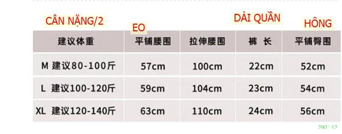 26HA2901.12 - SET 6 QUẦN CHÍP SU ĐÚC
