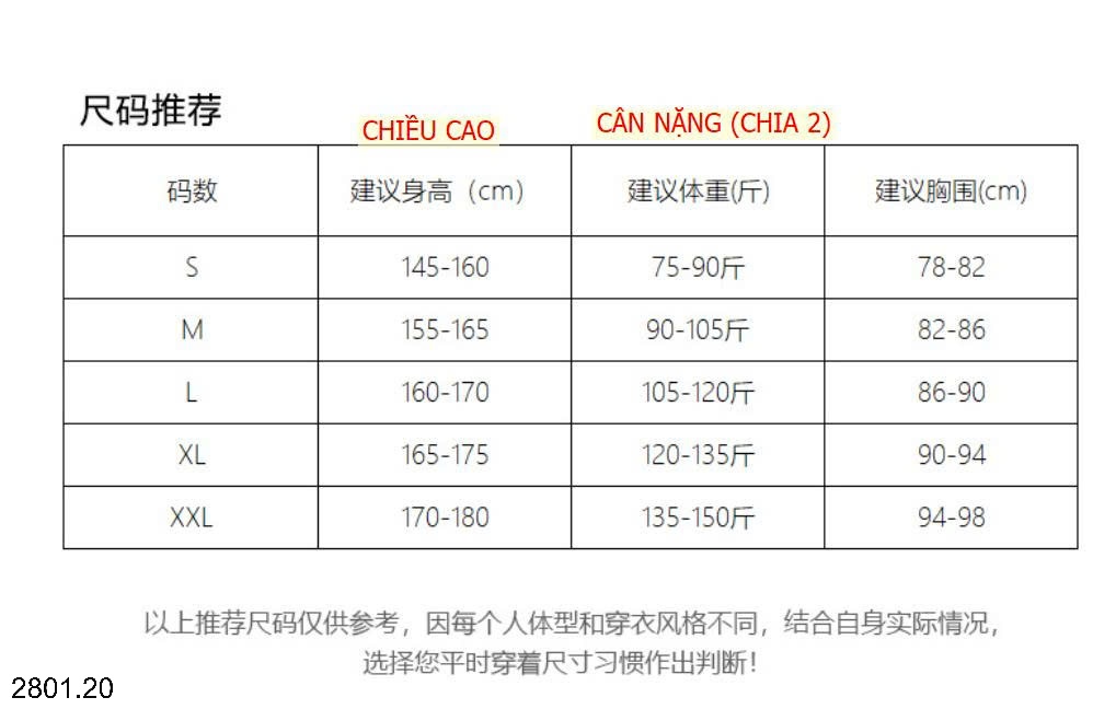26HA2801.20 - ÁO THUN VIỀN BÈO CANVAUS