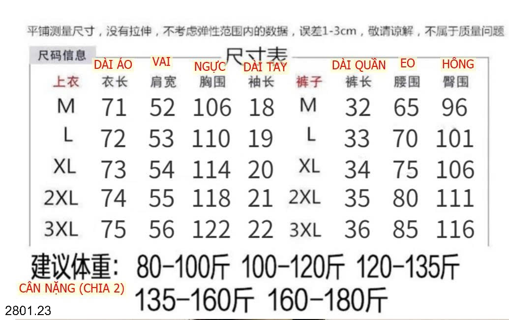 26HA2801.23 - BỘ COTTON HÌNH GẤU CHO NỮ