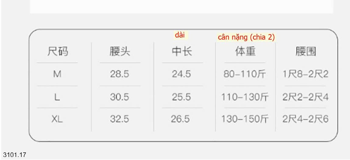 26HA3101.17 - SET 10 QUẦN CHIP NỮ LỤA BĂNG
